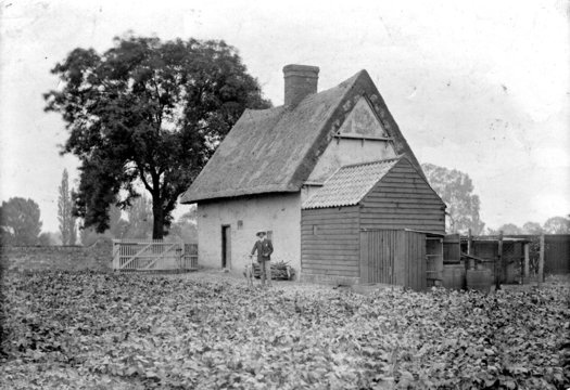 Grange Road<br>Reeds Cottage pre1933